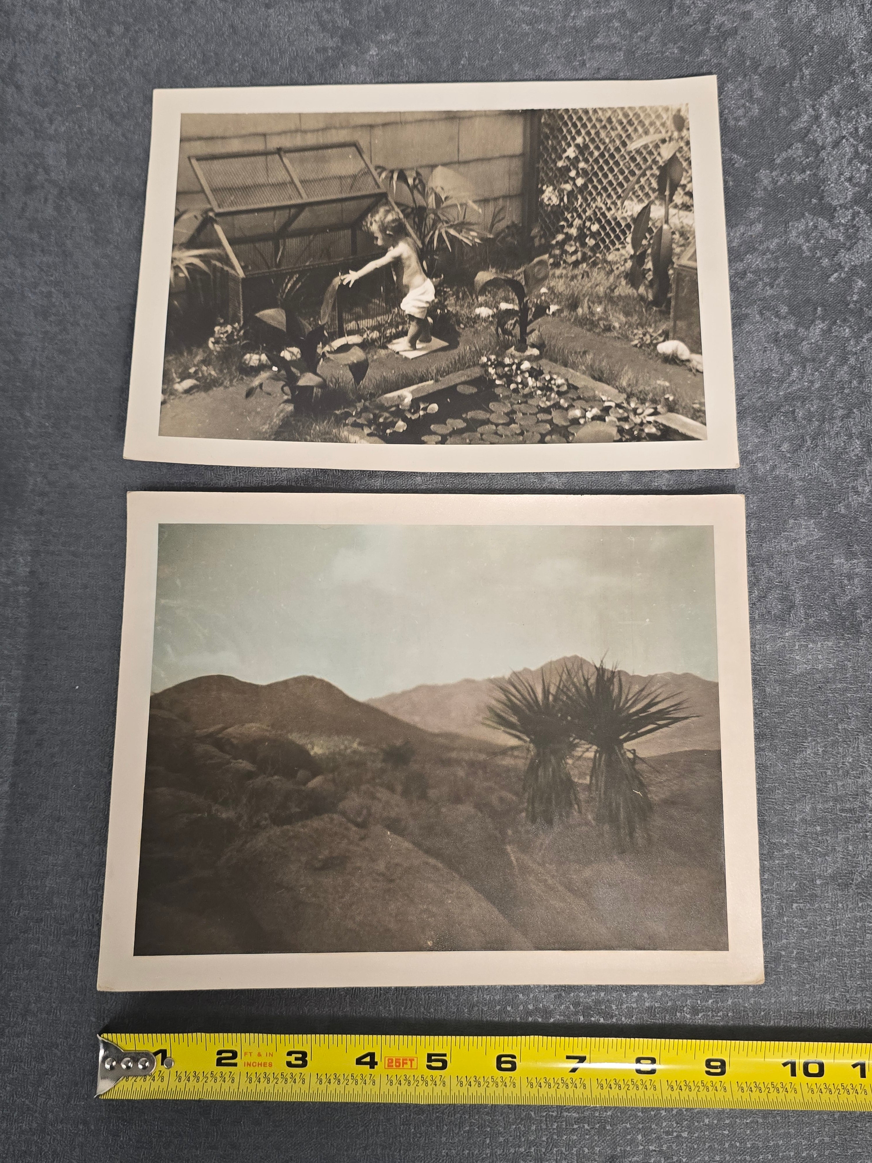 Lot of 2 Vintage Black & White Photographs Garden Pond Desert Landscape Snapshot Photos