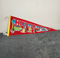 Vintage 1980 Houston Texas Felt Pennant 29” Astrodome NASA Space Center