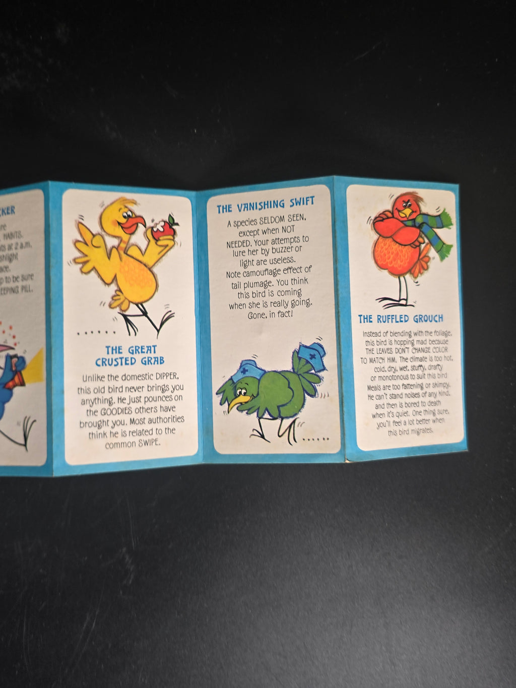 Vintage Birdwatcher’s Handbook Hospital Edition Novelty Fold-Out Booklet - Book