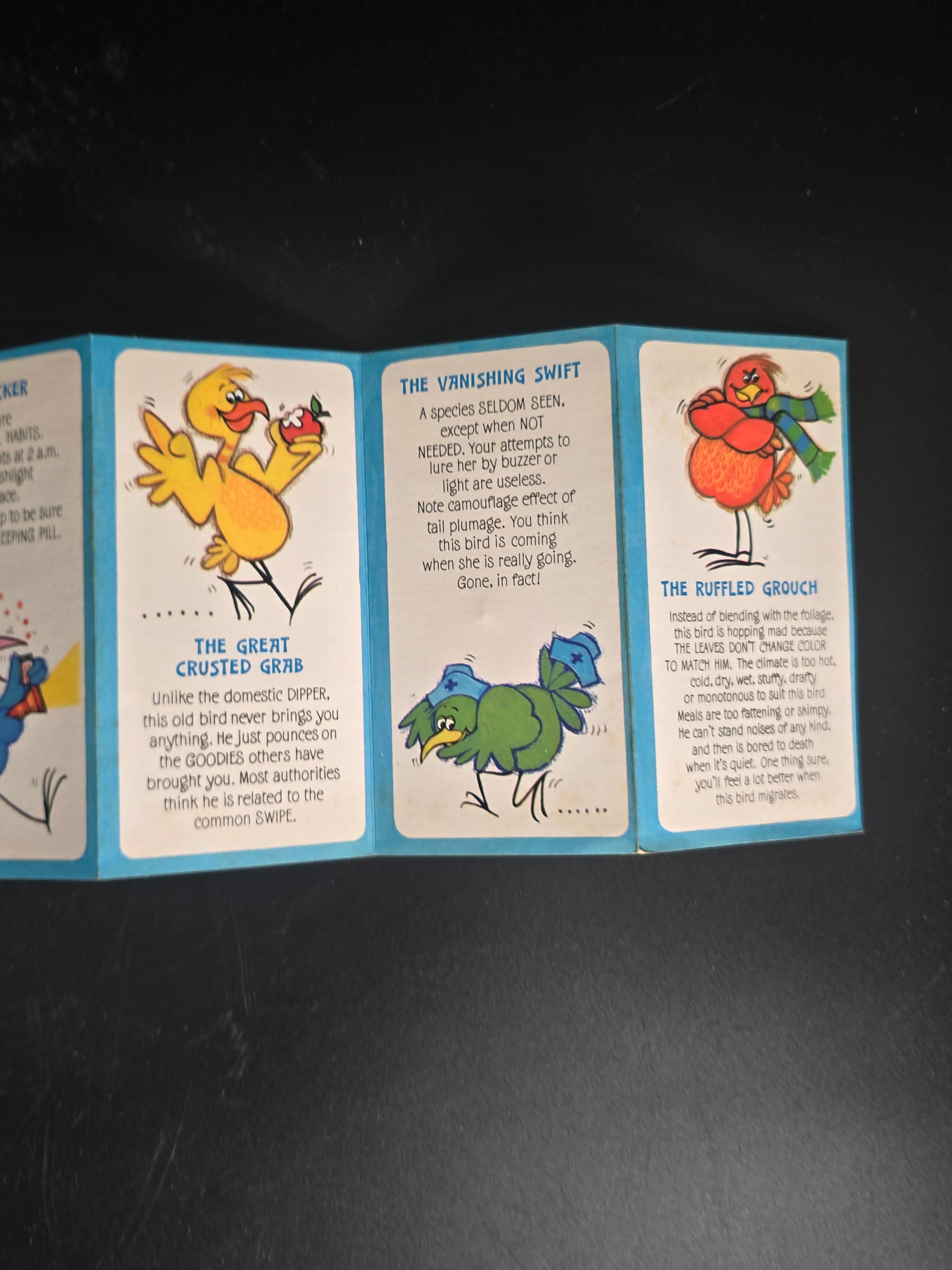 Vintage Birdwatcher’s Handbook Hospital Edition Novelty Fold-Out Booklet - Book