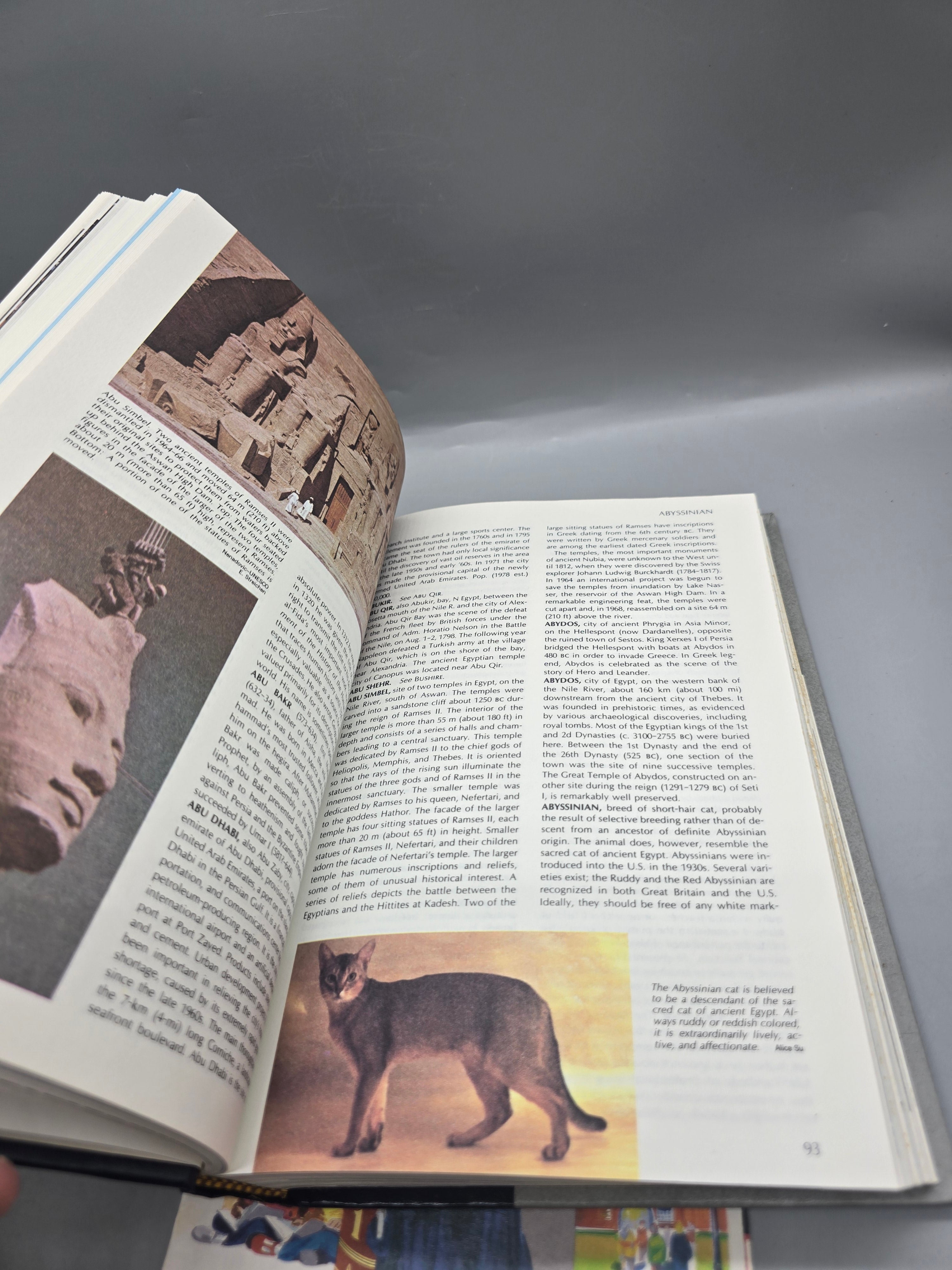 Funk & Wagnalls New Encyclopedia Vintage Hardcover Volume w/ Original Brochure