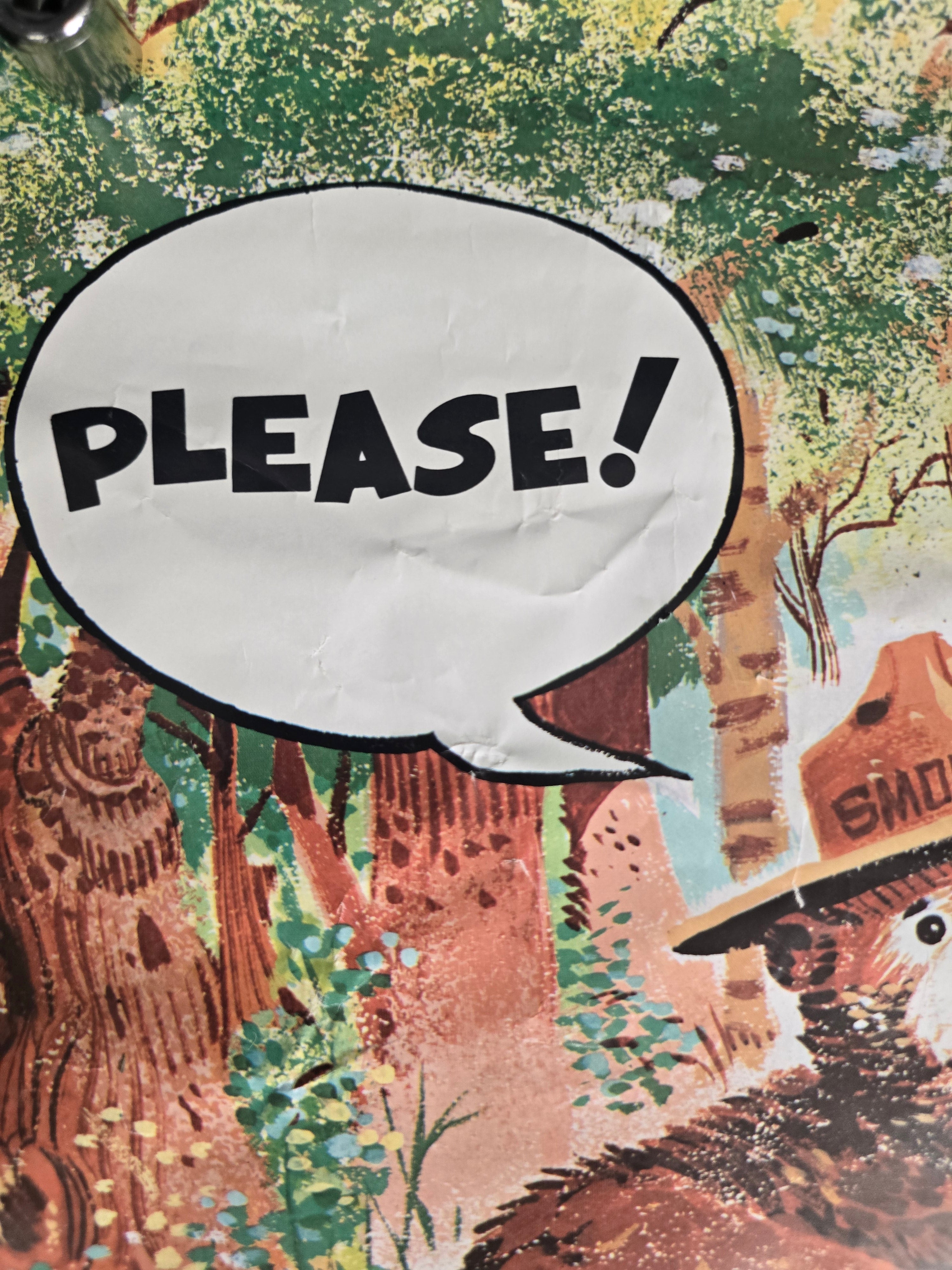 Vintage 1978 Smokey Bear BIC Lighter Forest Service Advertising Poster