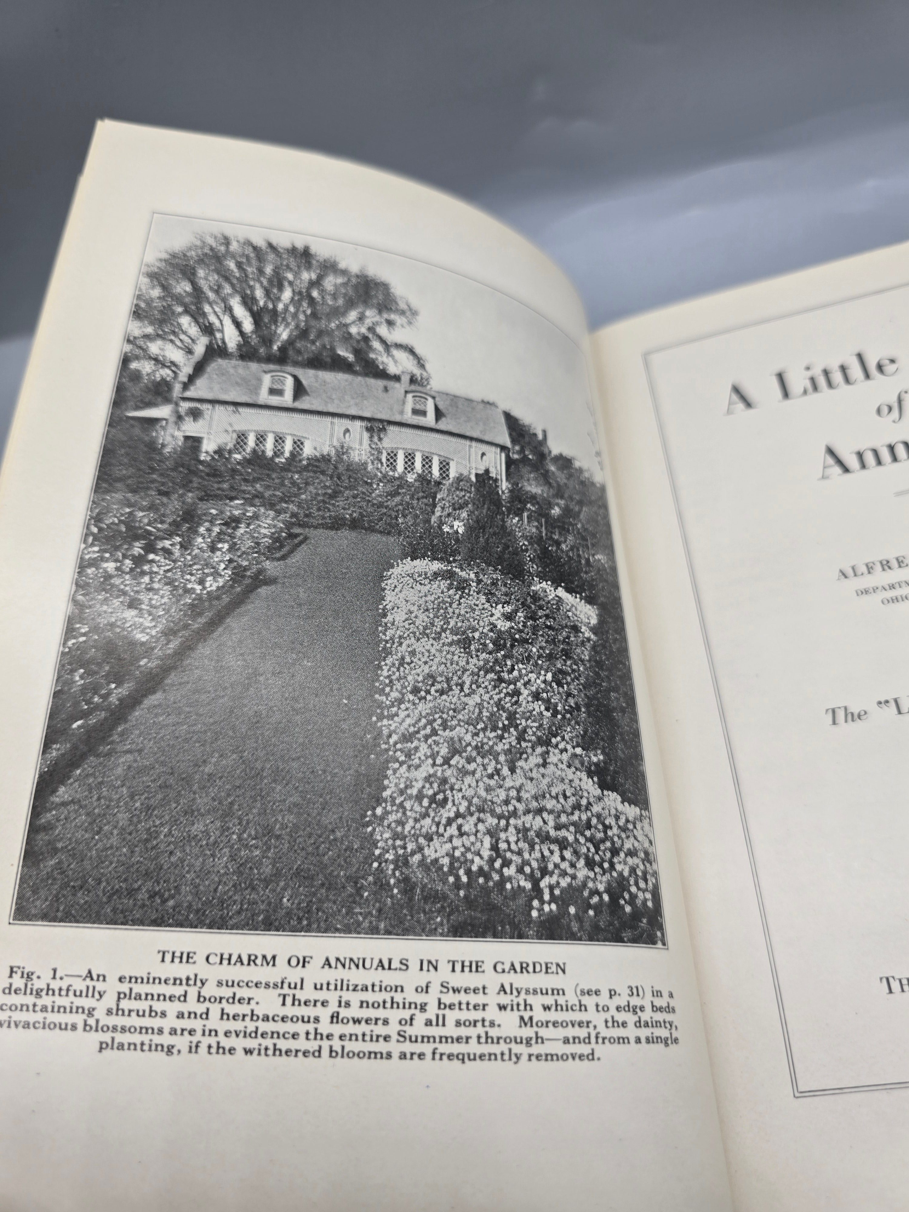 Antique 1925 A Little Book of Annuals – Alfred C. Hottes Hardcover
