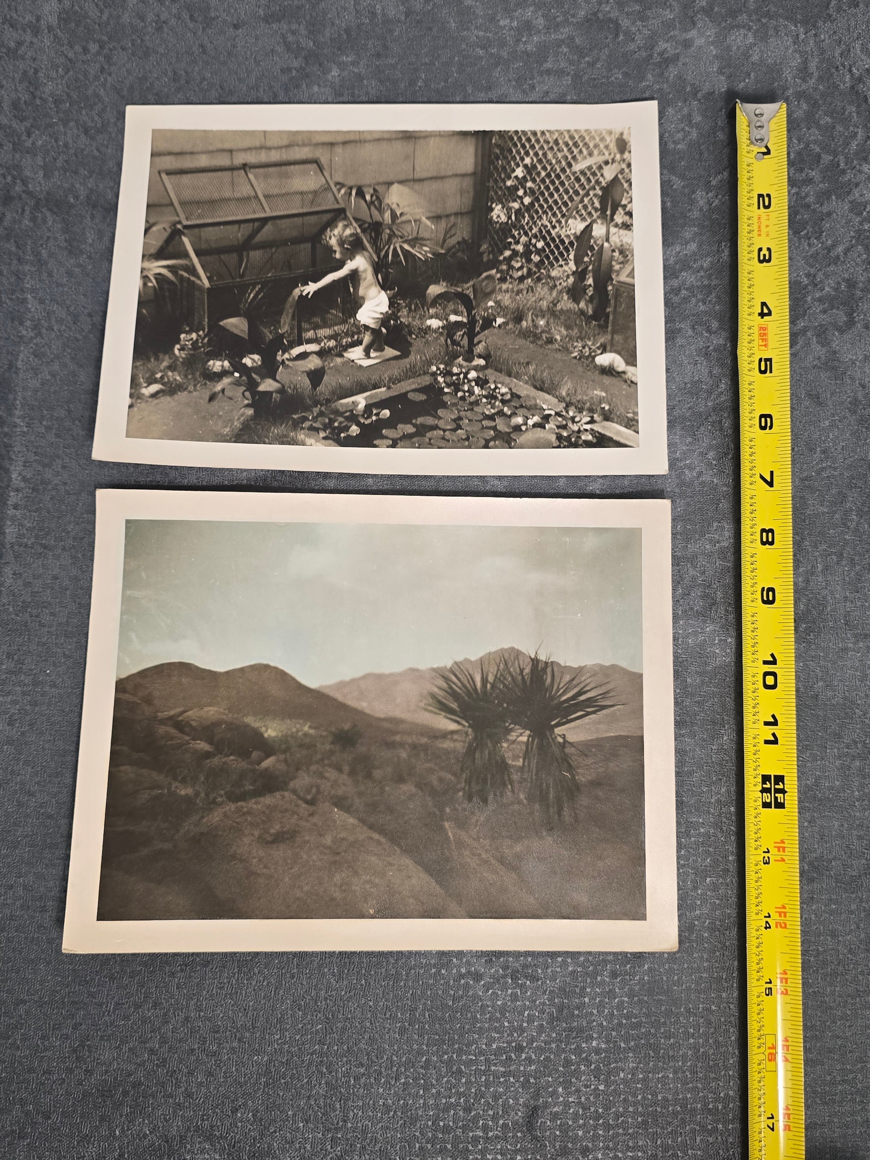 Lot of 2 Vintage Black & White Photographs Garden Pond Desert Landscape Snapshot Photos