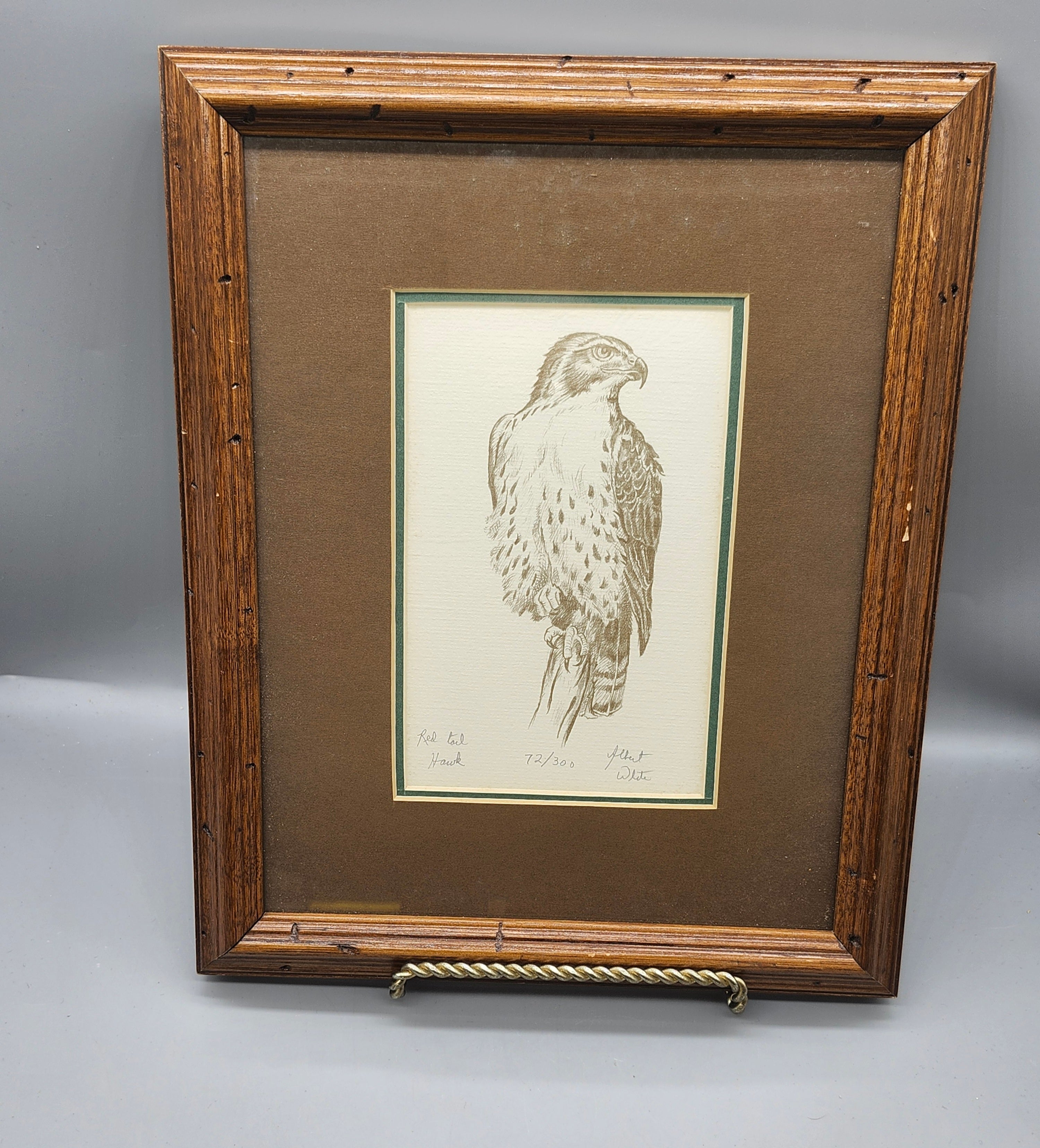 Signed Albert White Red Tail Hawk Limited Edition Print 72/300 Framed