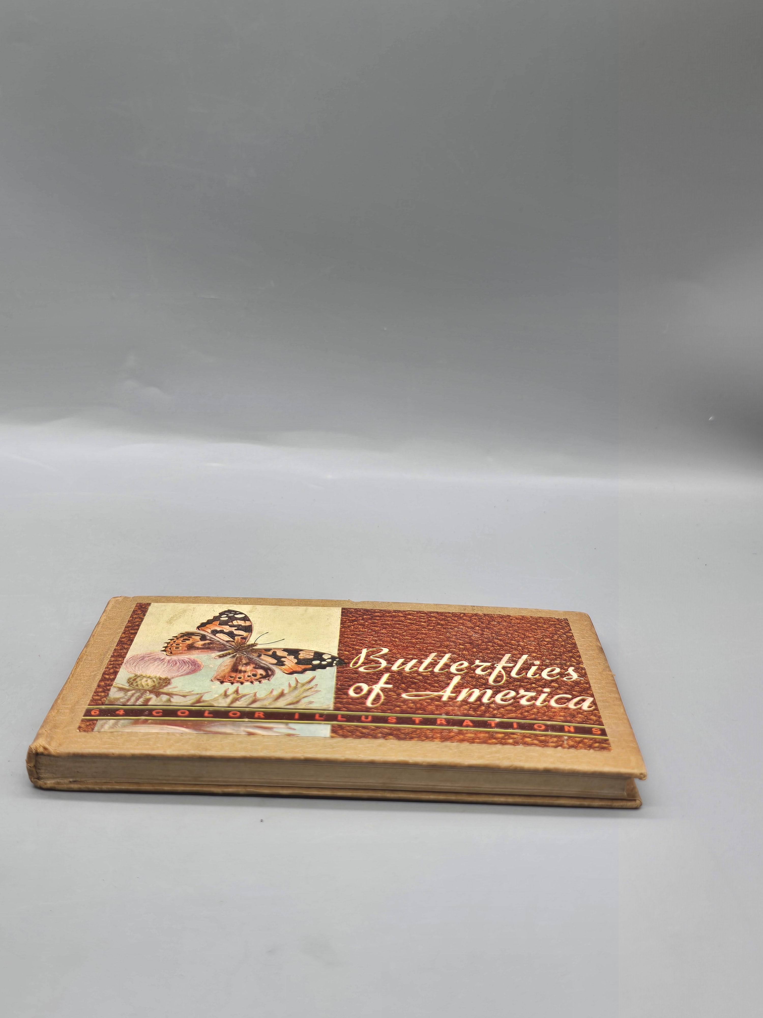 1934 Butterflies and Moths of America Lillian Davids Fazzini Whitman