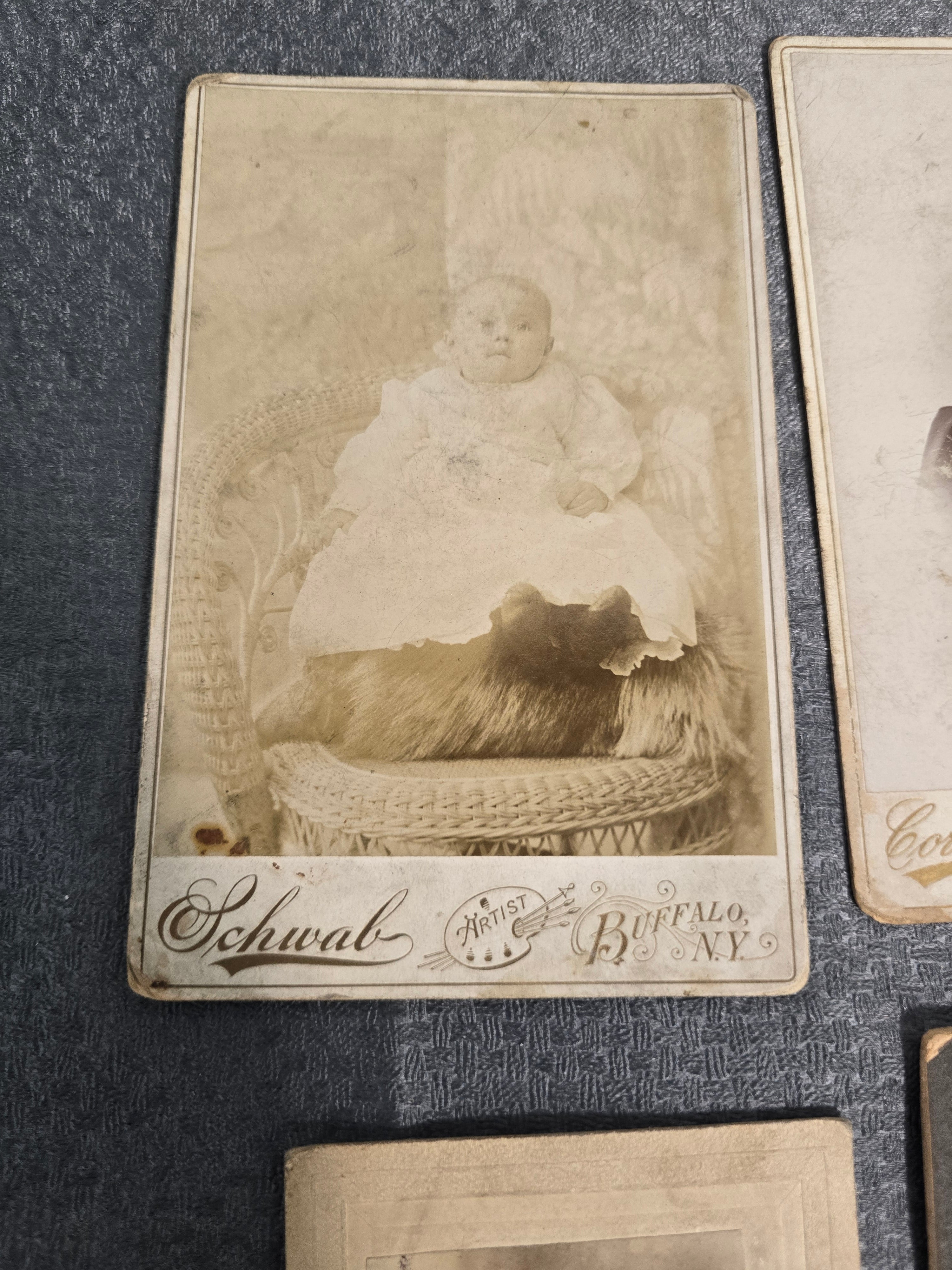Lot of 6 Antique Cabinet Cards & Early Portrait Photographs Buffalo NY Williamsport PA Victorian Era