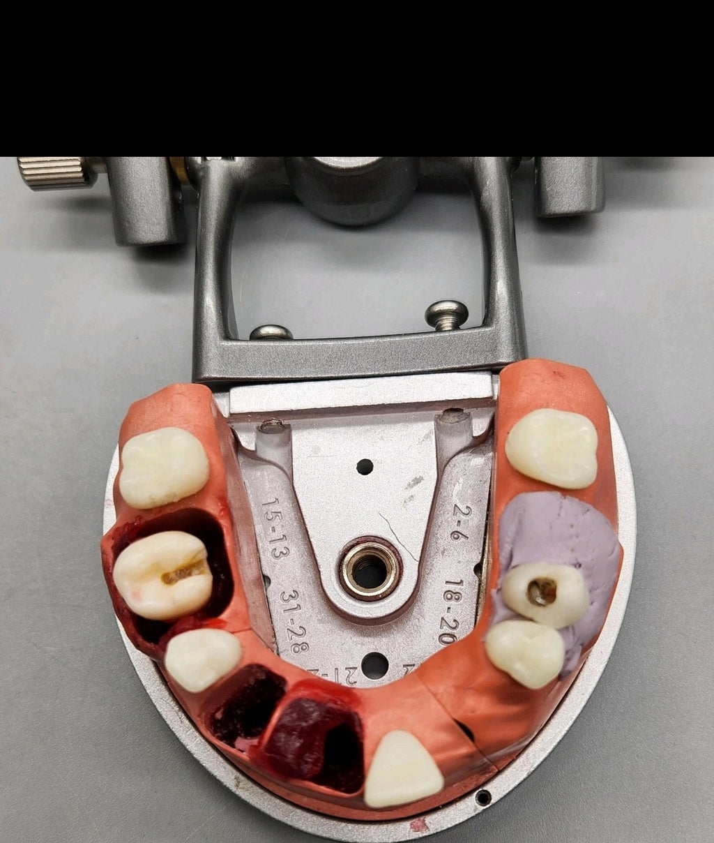 Acadental ModuPRO Endo Typodont MP_E120_PC Dental Silver Carrier Tray Case Mode