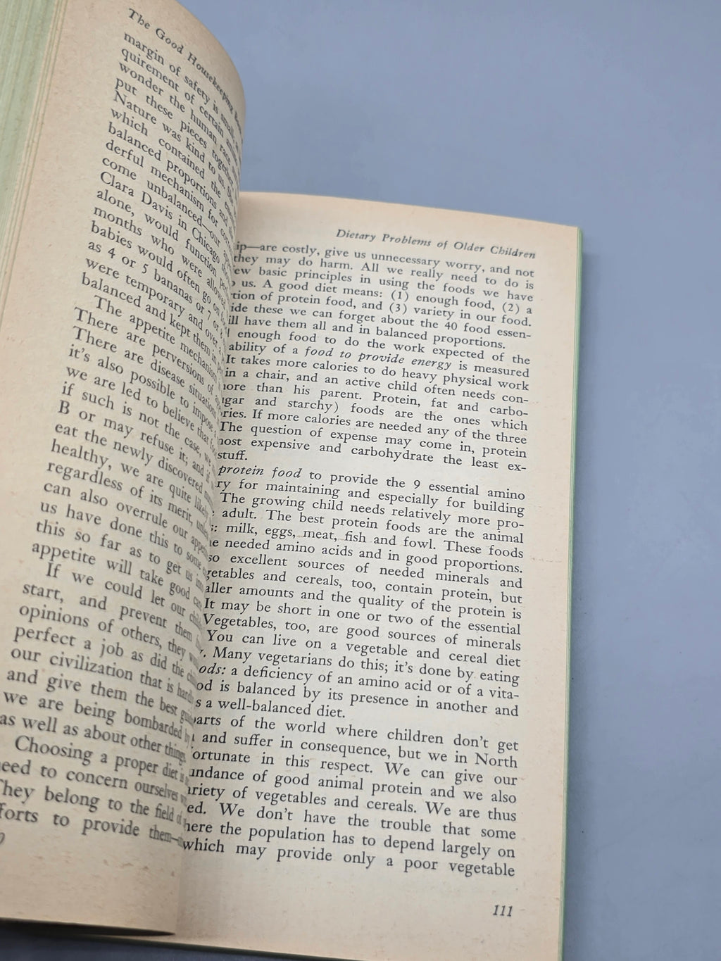 Vintage Good Housekeeping Book of Baby and Child Care – L. Emmett Holt Jr. MD Book
