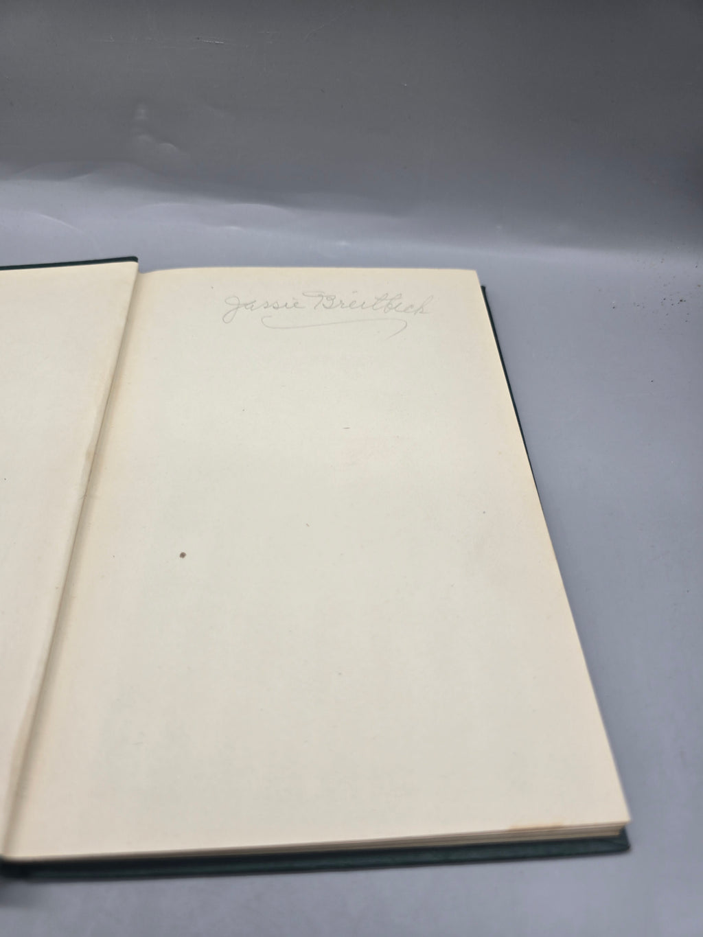 Antique 1925 A Little Book of Annuals – Alfred C. Hottes Hardcover