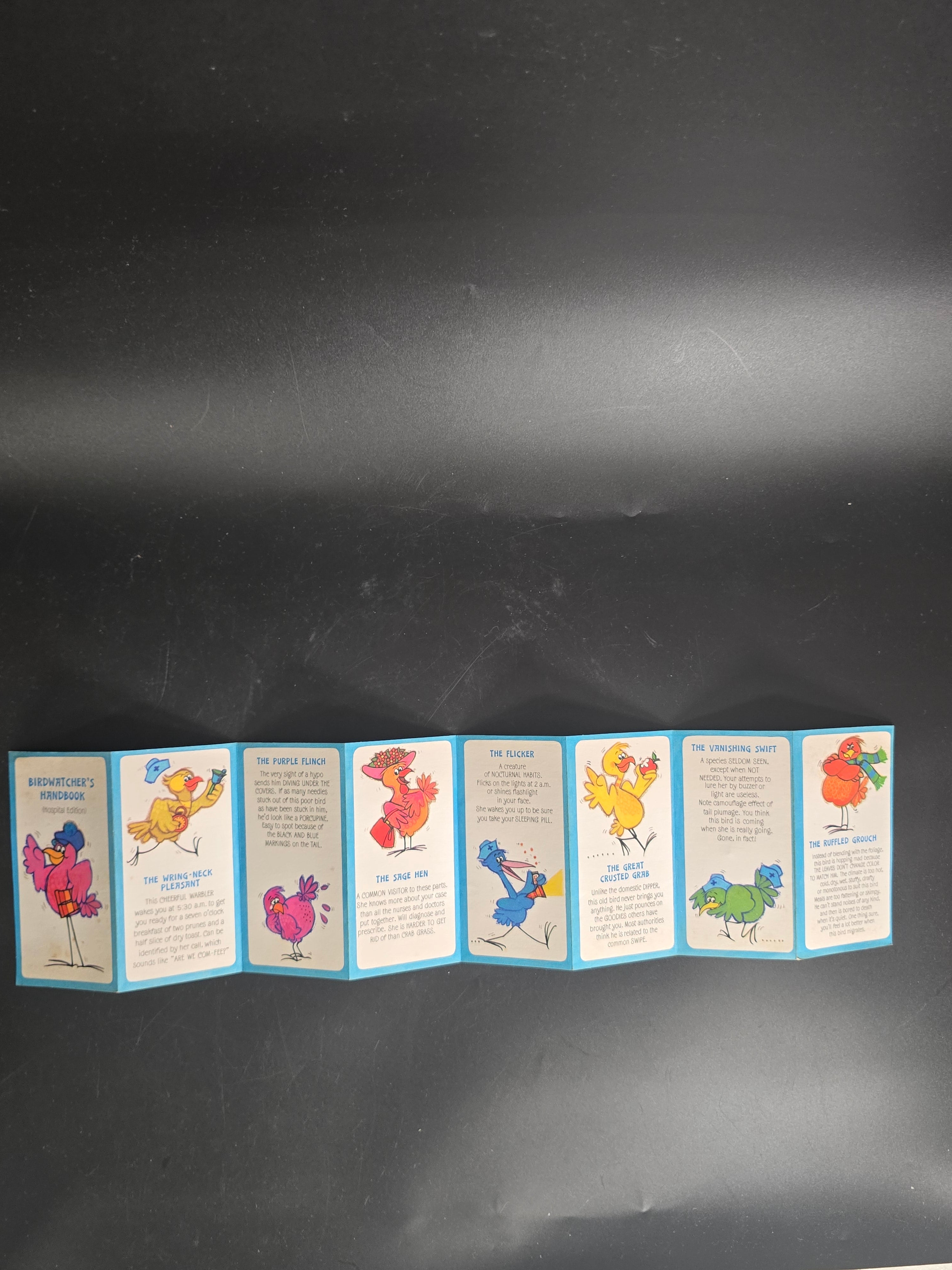 Vintage Birdwatcher’s Handbook Hospital Edition Novelty Fold-Out Booklet - Book