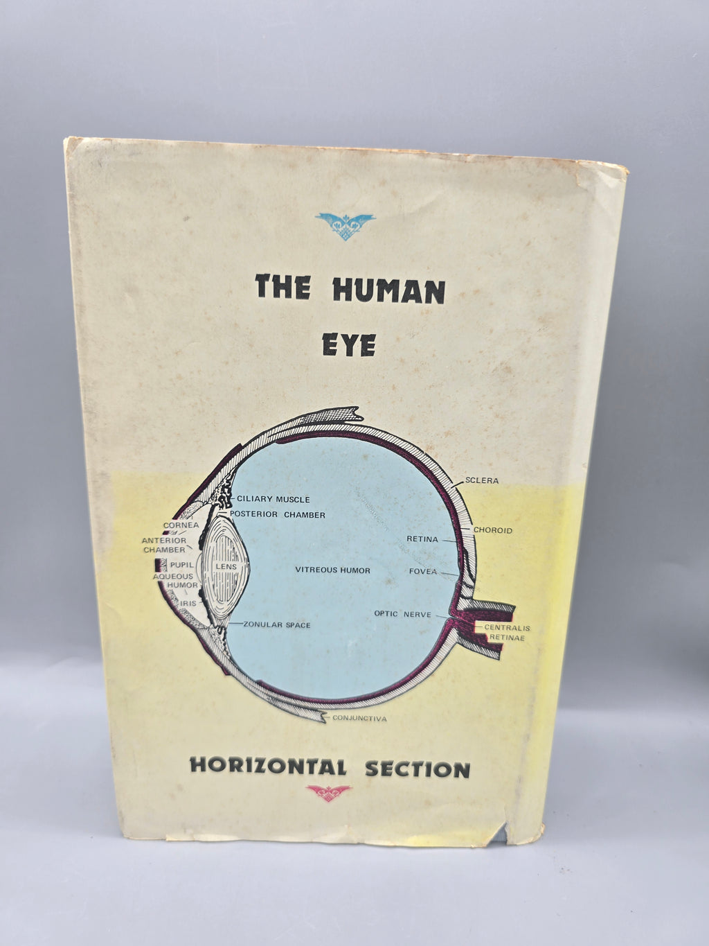 1975 Cataract Glaucoma & Eye Disorders John H. Tobe 6th Printing