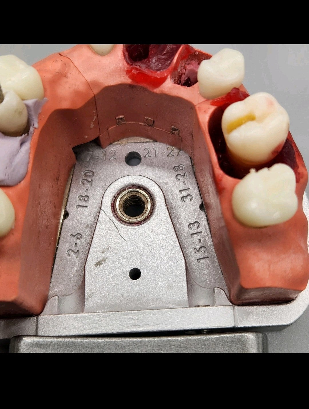 Acadental ModuPRO Endo Typodont MP_E120_PC Dental Silver Carrier Tray Case Mode