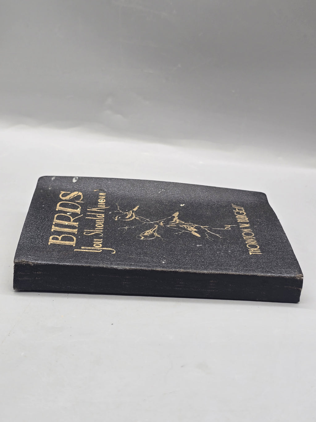 1933 Birds You Should Know by Thornton W. Burgess – Vintage Illustrated Bird Book