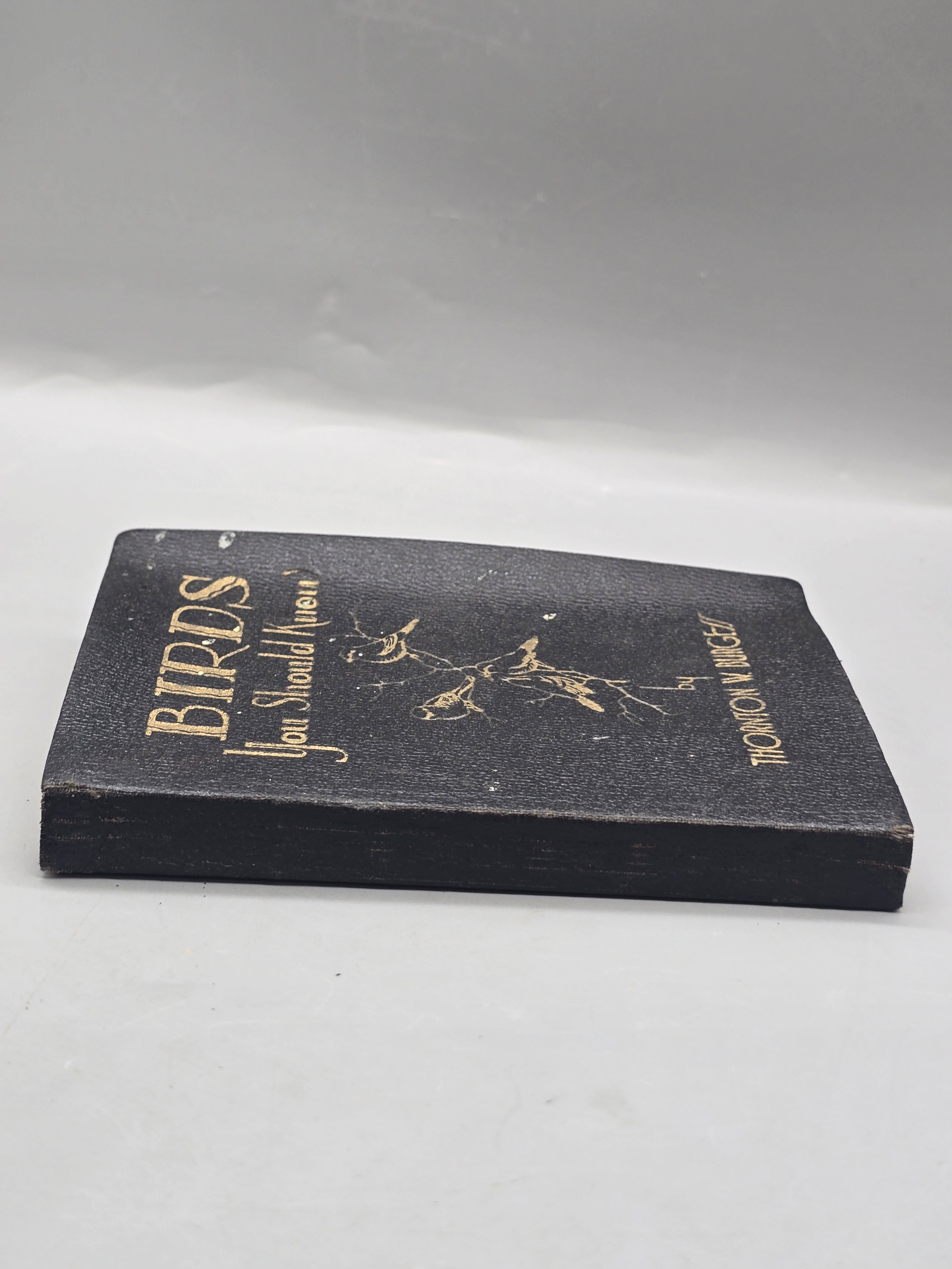 1933 Birds You Should Know by Thornton W. Burgess – Vintage Illustrated Bird Book