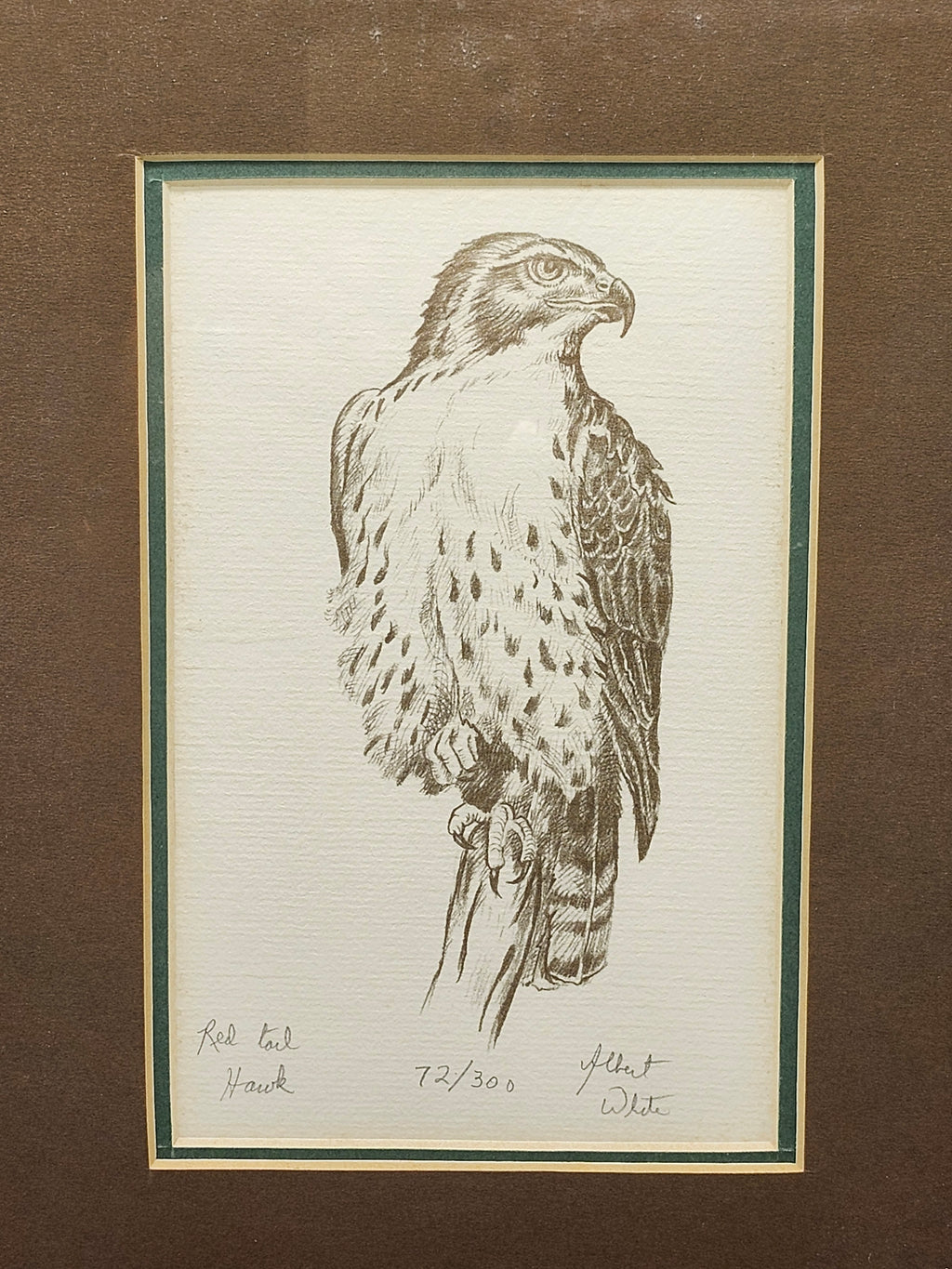 Signed Albert White Red Tail Hawk Limited Edition Print 72/300 Framed