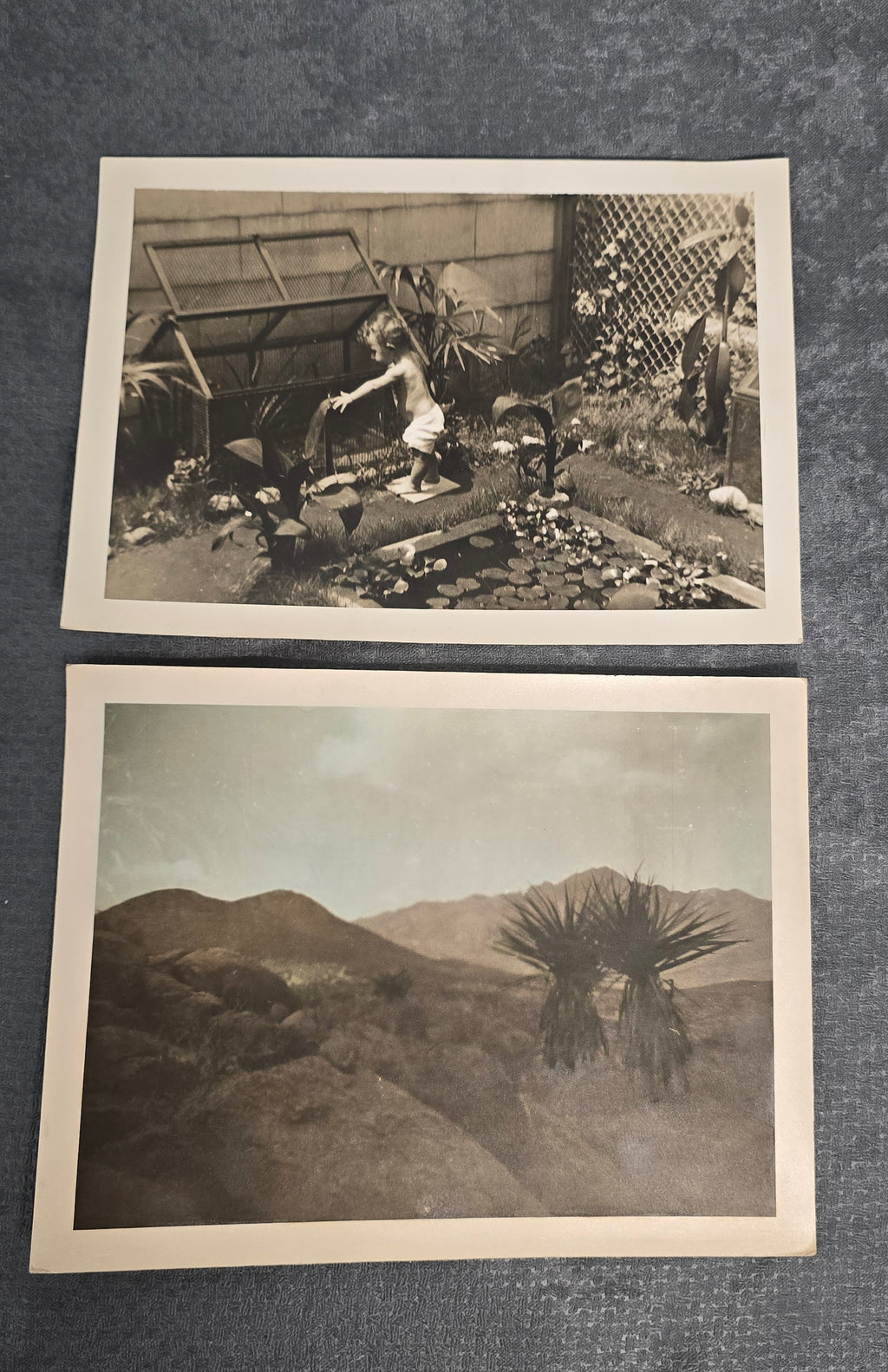 Lot of 2 Vintage Black & White Photographs Garden Pond Desert Landscape Snapshot Photos