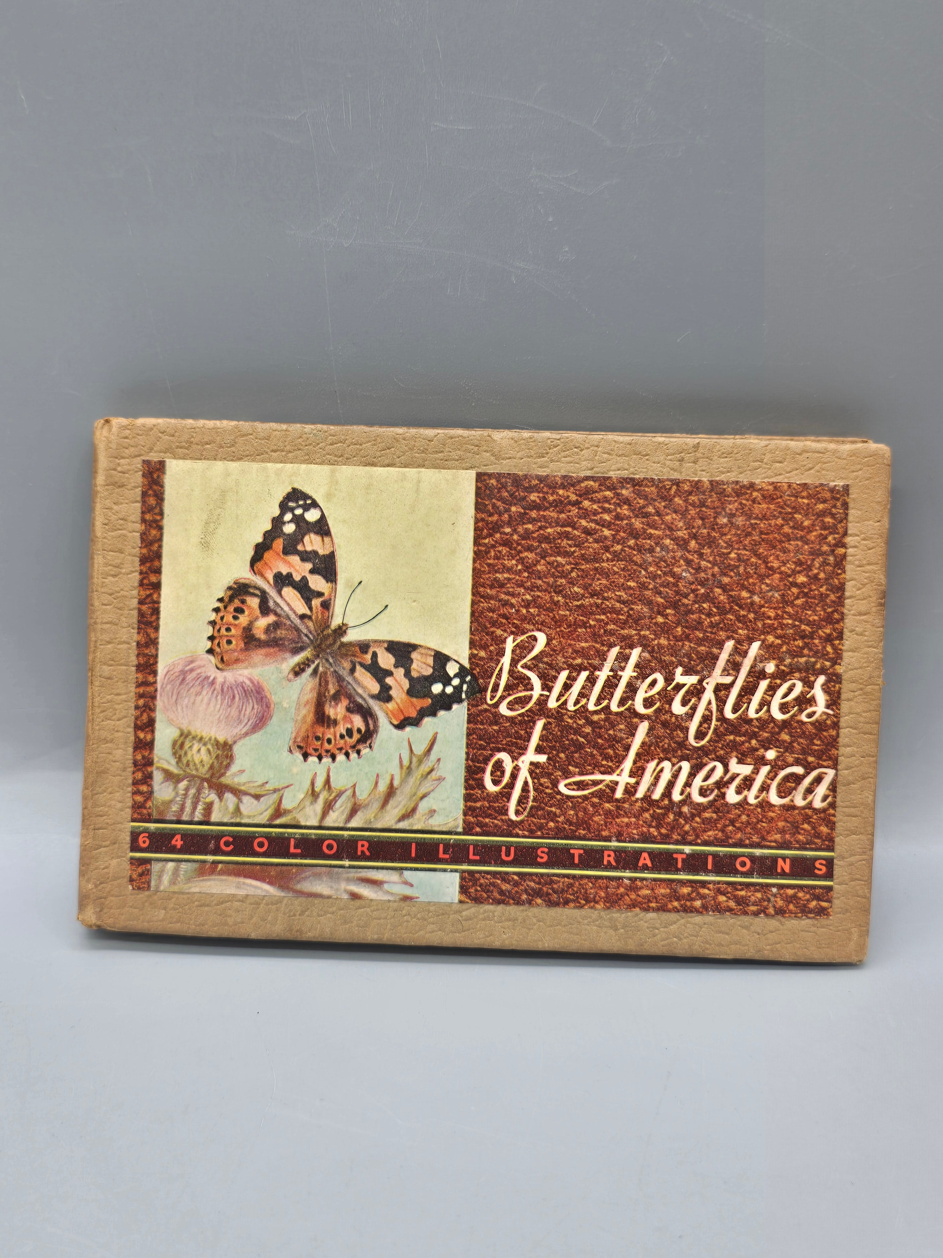 1934 Butterflies and Moths of America Lillian Davids Fazzini Whitman